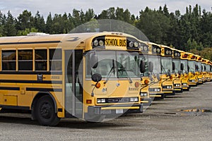 School Busses in Row